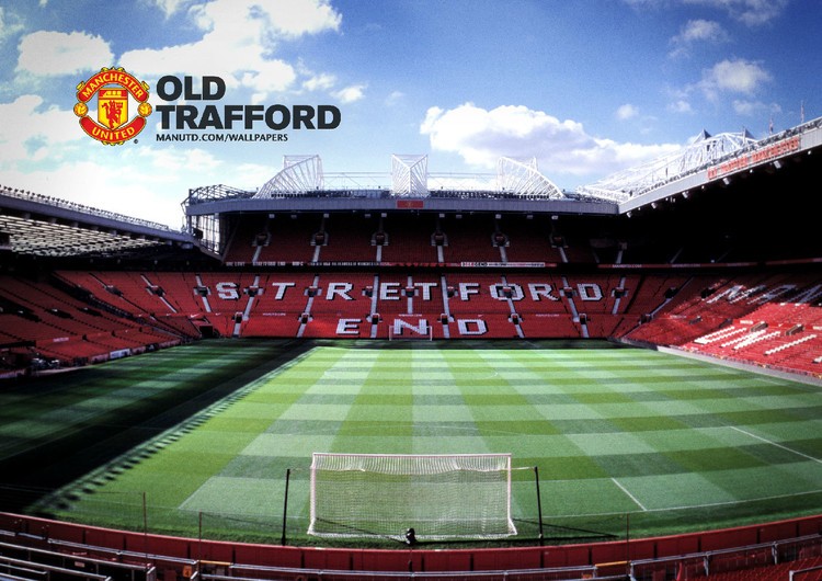 在高水平的 在高水平的